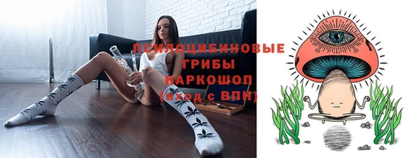 гашик Алзамай