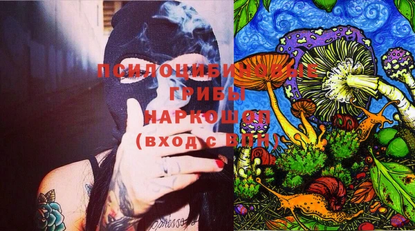 гашик Алзамай
