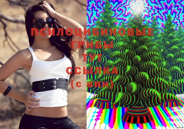 бутират Алексин